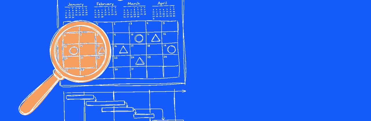 How Long Does Custom Software Actually Take to Build in NZ?